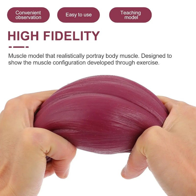 1-pound Human Muscle and Fat R - đánh giá và giá Nutrition Of Fitness